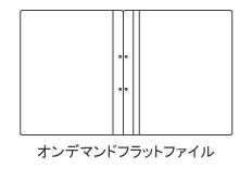 オンデマンドフラットファイル