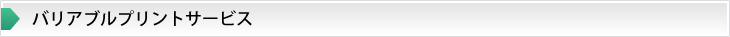 バリアブルプリントサービス
