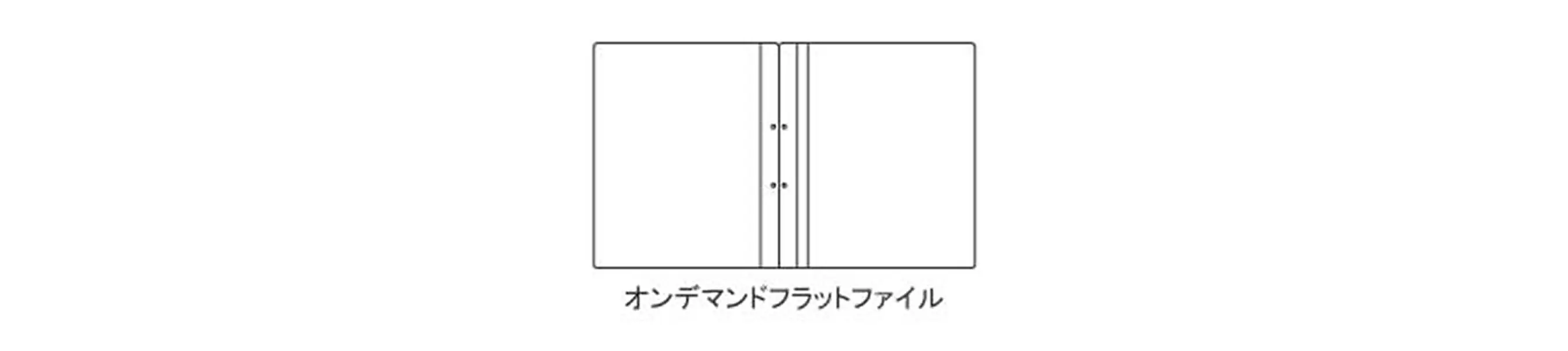 オンデマンドフラットファイル